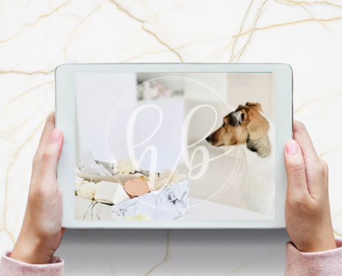 ipad-logo